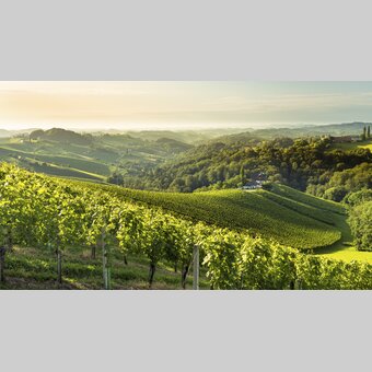 Southern Styria | © Steiermark Tourismus | Wolfgang Jauk