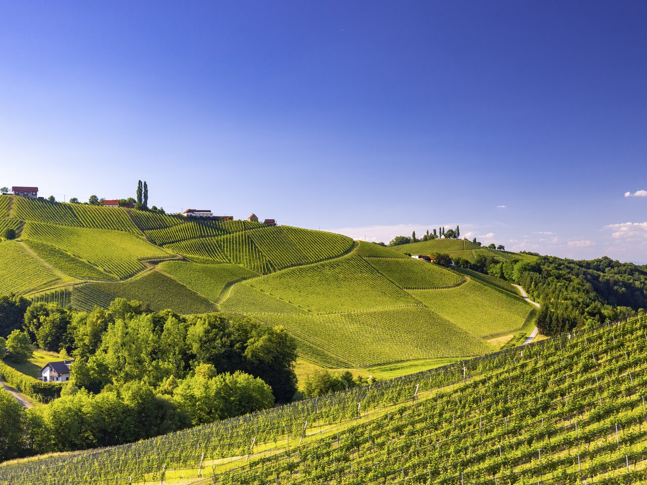 Südsteiermark | © STG | Harry Schiffer