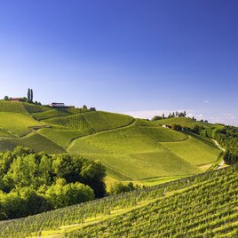 Südsteiermark