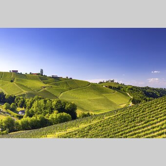 Southern Styria | © Steiermark Tourismus | Harry Schiffer