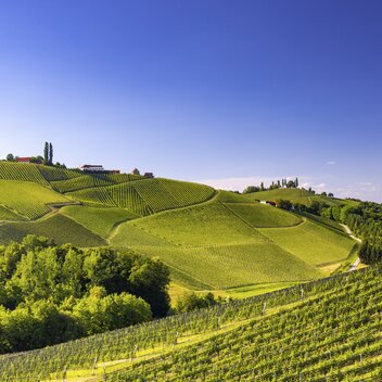 Südsteiermark | © STG | Harry Schiffer