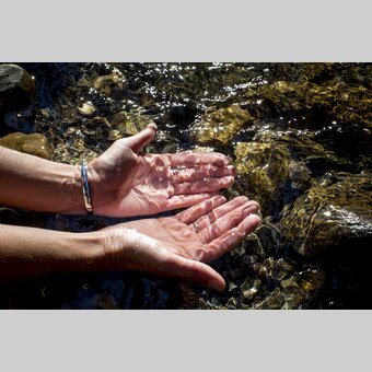 Crystal clear water in the Green Heart  | © Steiermark Tourismus | Tom Lamm