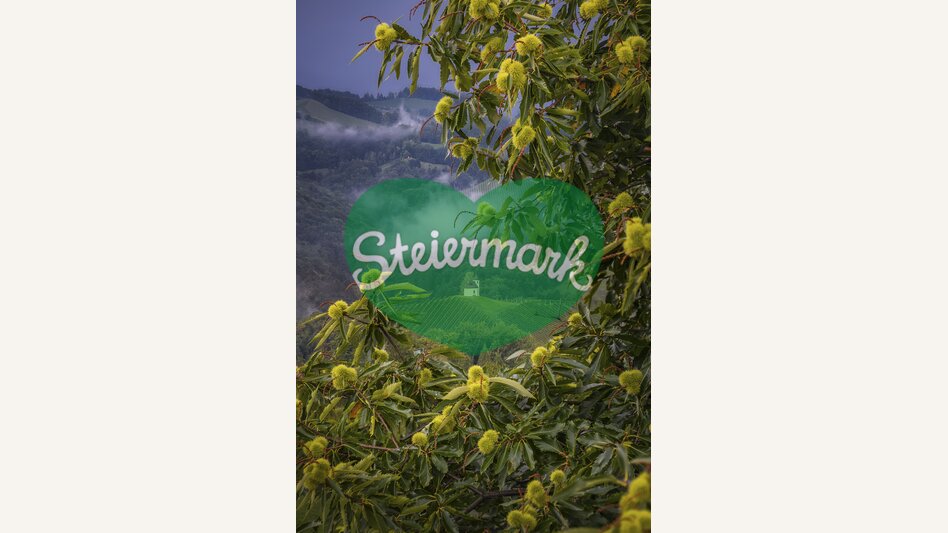 chestnut tree | © Steiermark Tourismus | Wolfgang Jauk