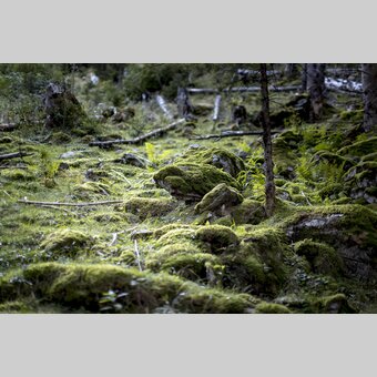 dosh | © Steiermark Tourismus | Tom Lamm