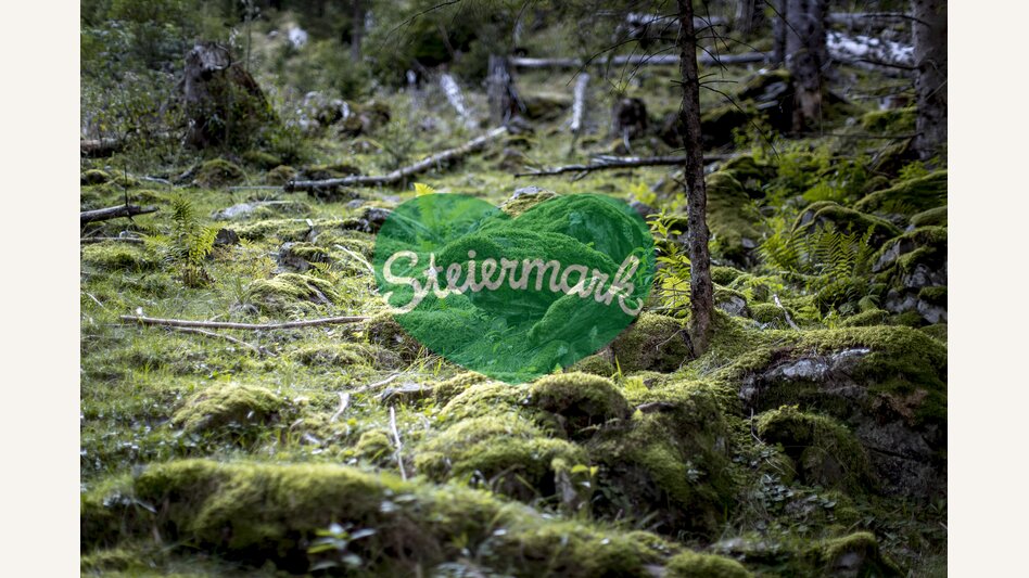 dosh | © Steiermark Tourismus | Tom Lamm