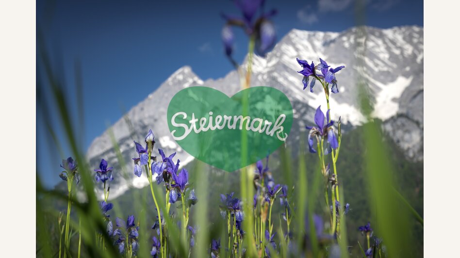 Iris with Grimming | © Steiermark Tourismus | photo-austria.at