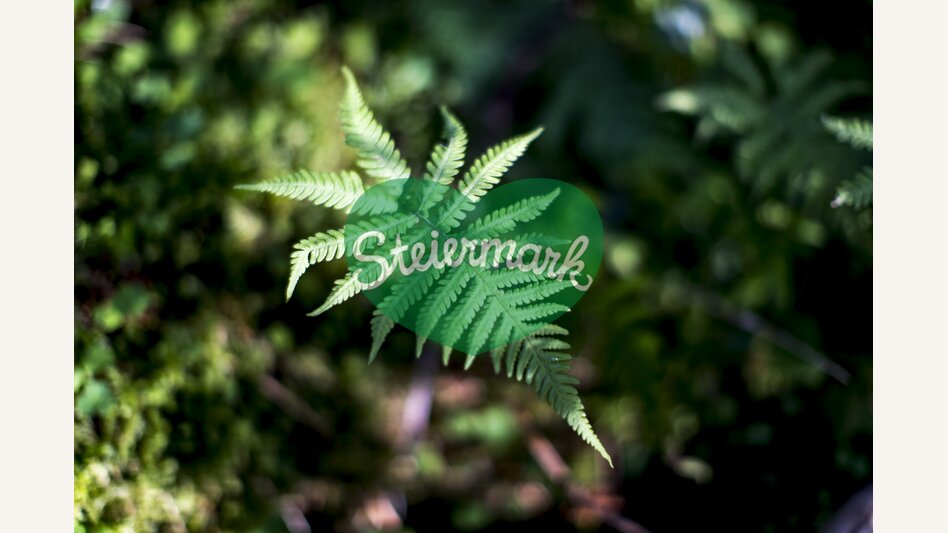 fern | © Steiermark Tourismus | Tom Lamm