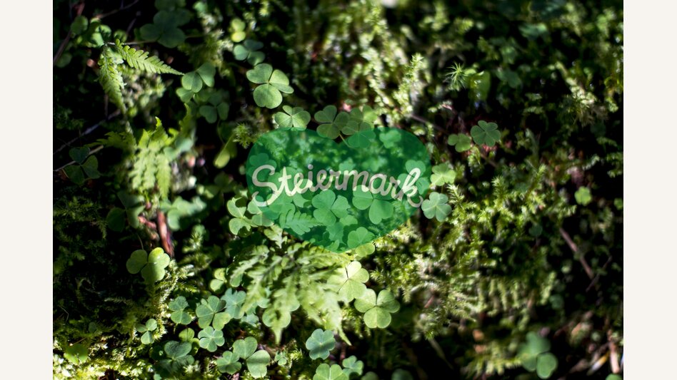 Shamrock | © Steiermark Tourismus | Tom Lamm