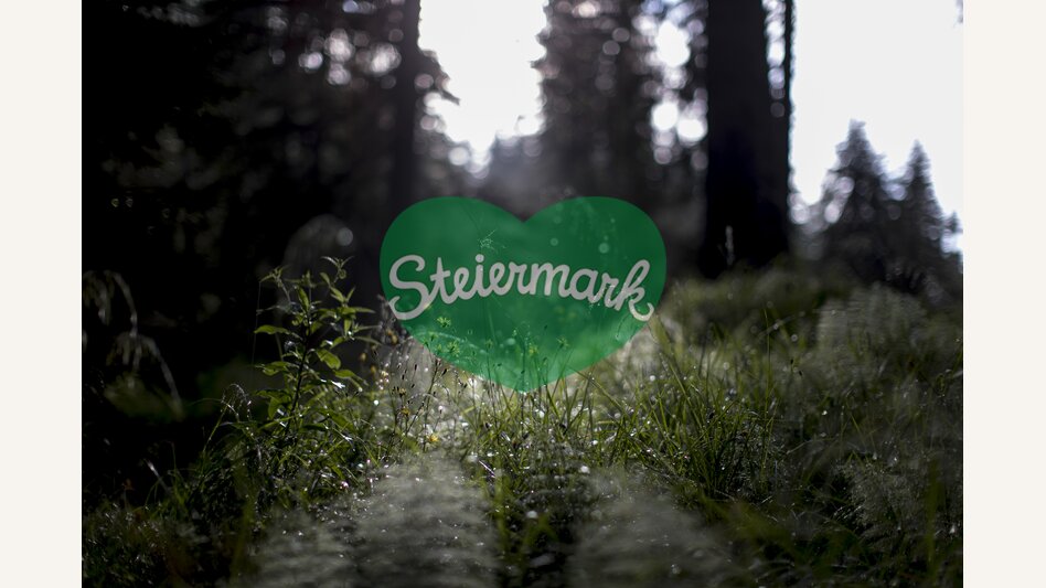 Green power | © Steiermark Tourismus | Tom Lamm