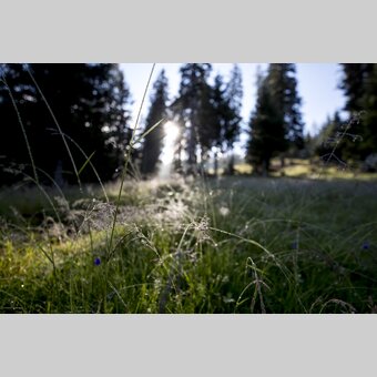 Green power | © Steiermark Tourismus | Tom Lamm