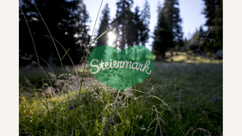 Green power | © Steiermark Tourismus | Tom Lamm