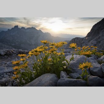At the Dachstein loop road | © Steiermark Tourismus | photo-austria.at