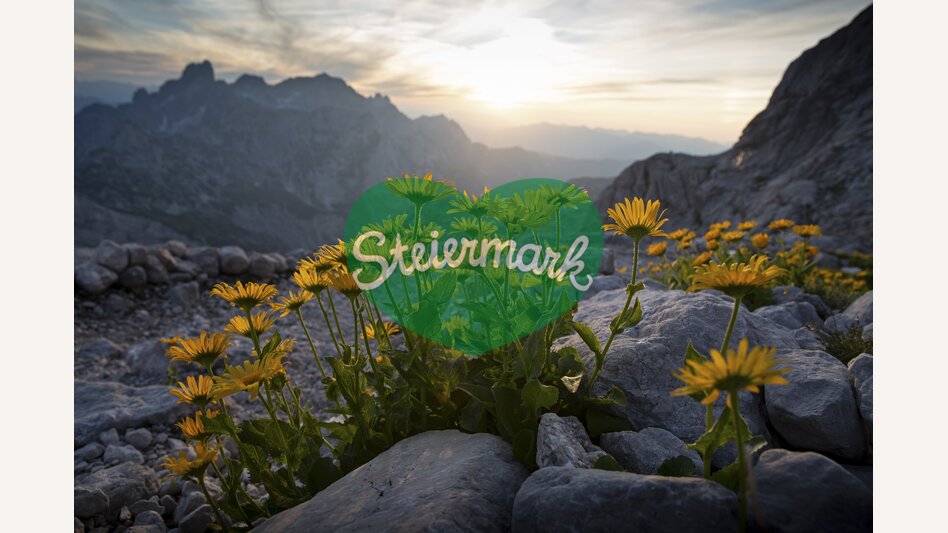 At the Dachstein loop road | © Steiermark Tourismus | photo-austria.at