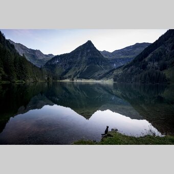 cat at Schwarzensee lake | © Steiermark Tourismus | Tom Lamm