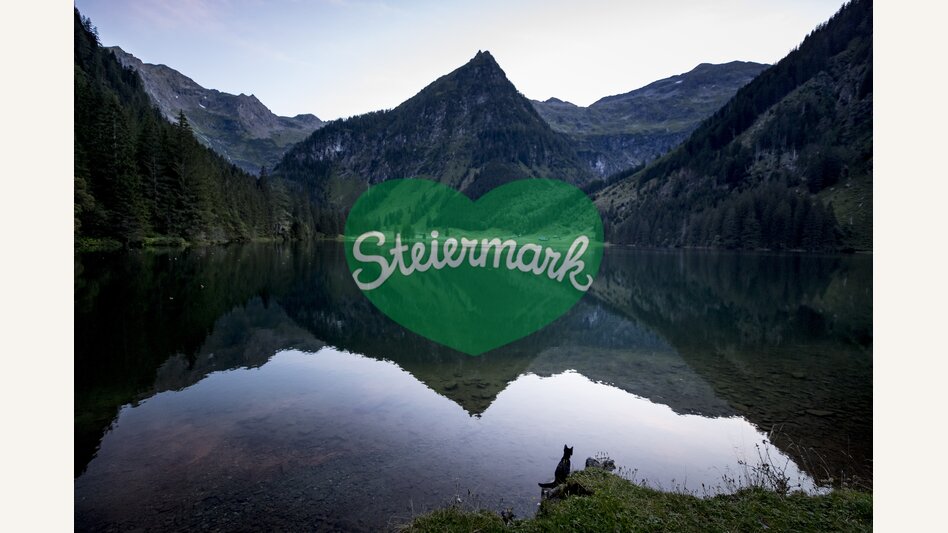 cat at Schwarzensee lake | © Steiermark Tourismus | Tom Lamm