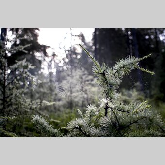Green power | © Steiermark Tourismus | Tom Lamm