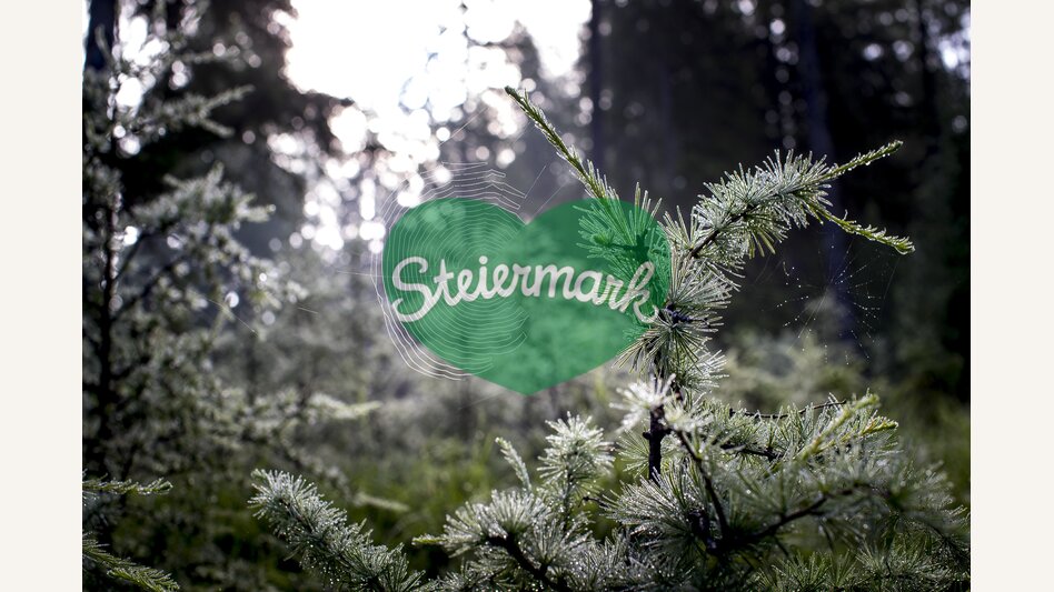 Green power | © Steiermark Tourismus | Tom Lamm