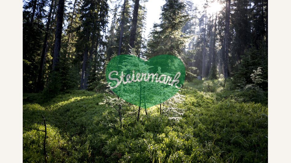 Green power | © Steiermark Tourismus | Tom Lamm