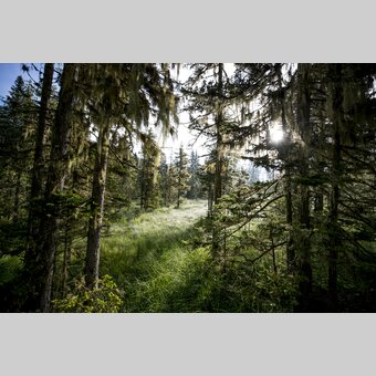 Green power | © Steiermark Tourismus | Tom Lamm