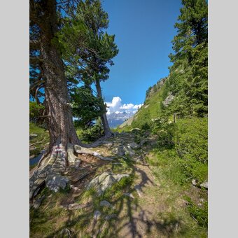 On the Reiteralm with a view to the Dachstein | © Steiermark Tourismus | Günther Steininger