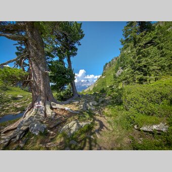 On the Reiteralm with a view to the Dachstein | © Steiermark Tourismus | Günther Steininger