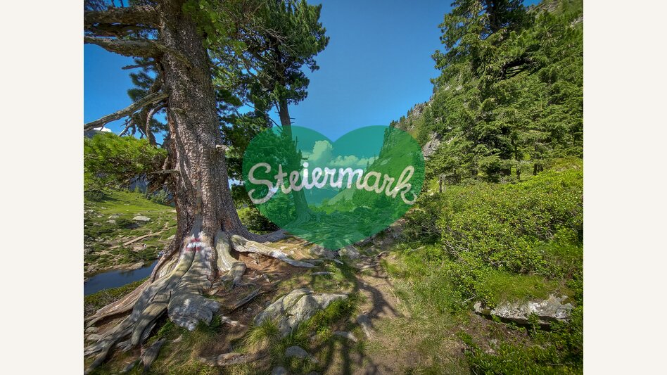 On the Reiteralm with a view to the Dachstein | © Steiermark Tourismus | Günther Steininger