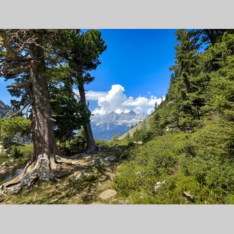 On the Reiteralm with a view to the Dachstein | © Steiermark Tourismus | Günther Steininger