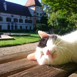 Erholungsort Park Schloss Eggenberg, Graz