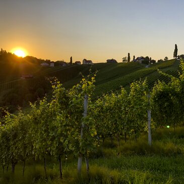 Südsteiermark: Wanderroute "Vom Gletscher zum Wein" (Etappe 24, Südroute)