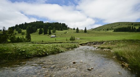 Mariazeller Weg, Teichalm | © STG | Leo Himsl