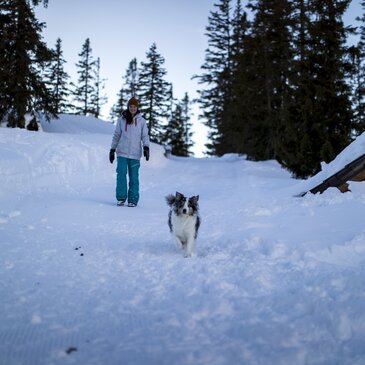 Urlaub mit Hund auf der Planneralm