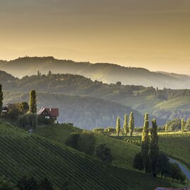 Südsteiermark