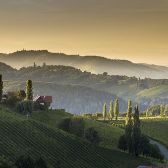 Südsteiermark | © STG | Harry Schiffer