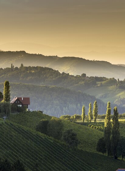Südsteiermark | © STG | Harry Schiffer