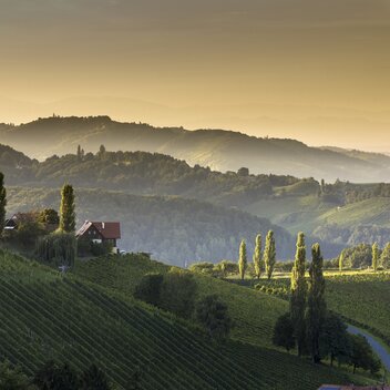 Südsteiermark | © STG | Harry Schiffer