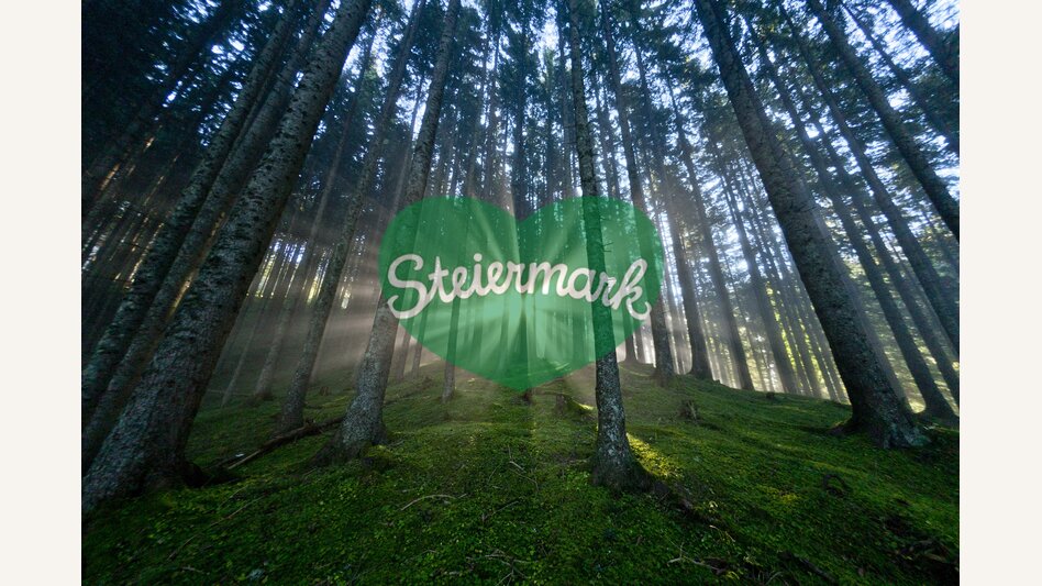 Die Steiermark - Das Grüne Herz Österreichs im UNO-Jahr der Wälder | © STG | Tom Lamm | Nur für Pressezwecke!
