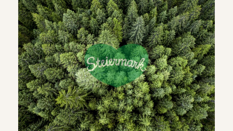Styria, the green heart of austria  | © Steiermark Tourismus | Tom Lamm