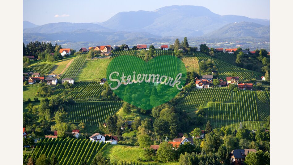 Schilcherweinstraße | © Steiermark Tourismus | Harry Schiffer