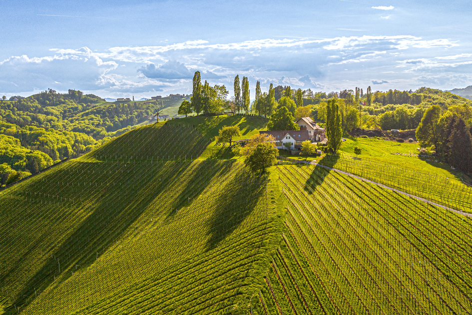 Schererkogl bei Gamlitz im Naturpark Südsteiermark | © STG | pixelmaker.at