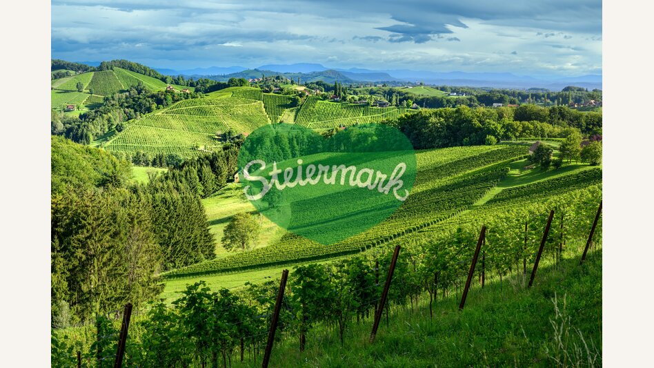 View of the Southern Styria Nature Park | © STG | pixelmaker.at
