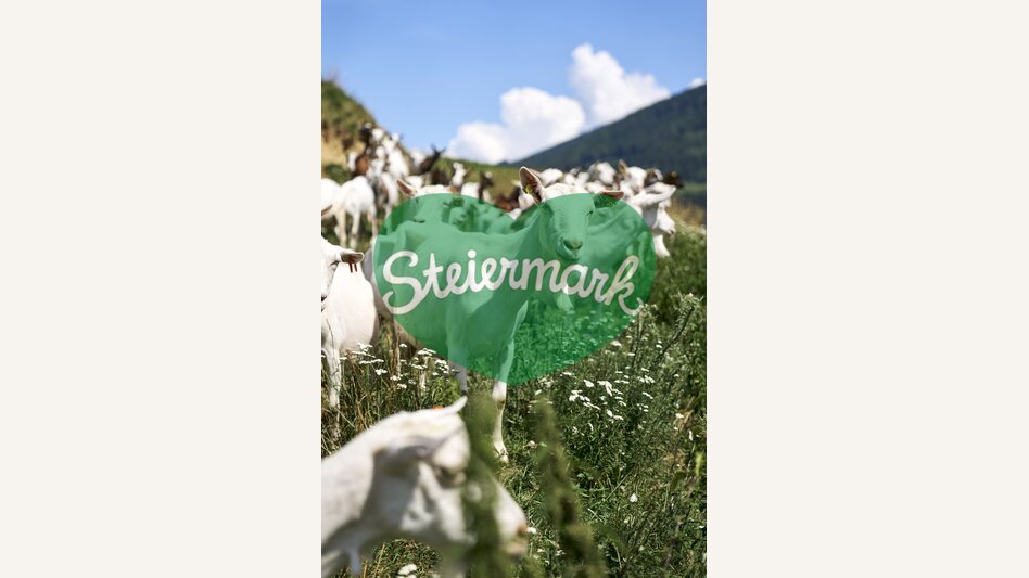 © Erlebnisregion Murtal | Susanne Einzenberger