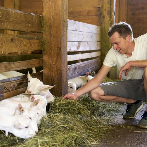 Beim Ziegenhof Melter im Murtal | © Erlebnisregion Murtal | Susanne Einzenberger