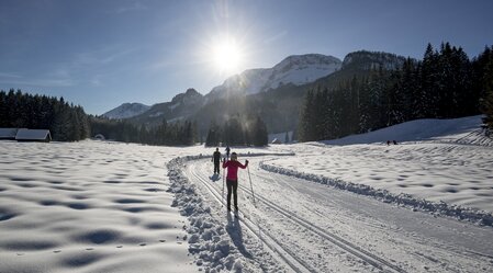 Langlaufen in der Blaa-Alm, Ausseerland - Salzkammergut | © Steiermark Tourismus | Tom Lamm
