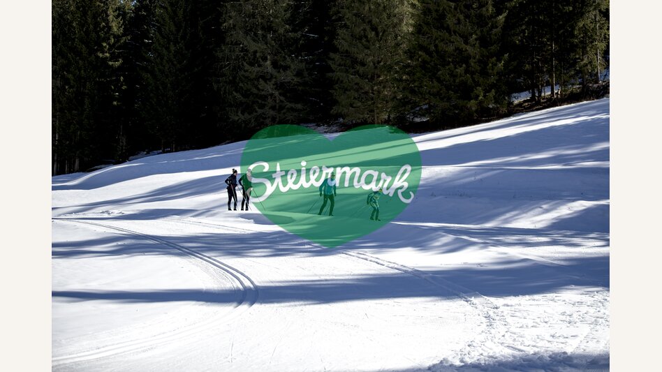 cross-country skiing with youngsters | © Steiermark Tourismus | Tom Lamm