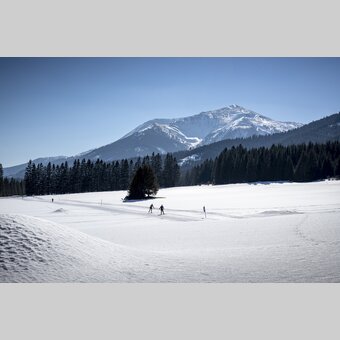 Langlaufen in Hohentauern | © Erlebnisregion Murtal | Tom Lamm