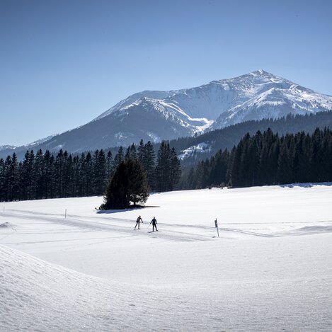 Langlaufen in Hohentauern | © Erlebnisregion Murtal | Tom Lamm