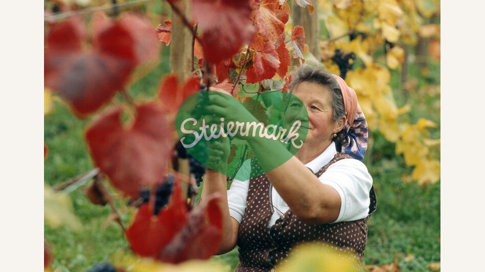 168005, st2060 | © Steiermark Tourismus | Atelier Jungwirth / Christa Strobl