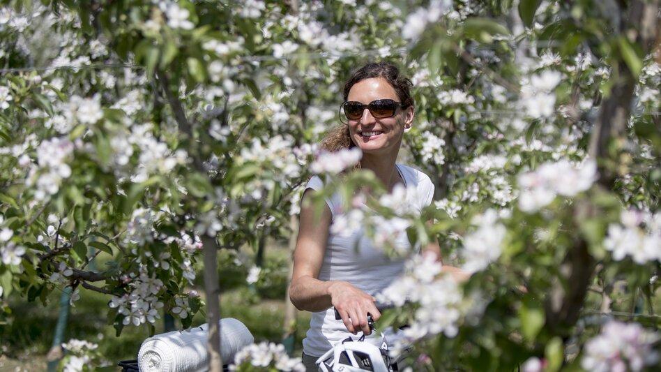 Radfahren zwischen Apfelblüten auf der Weinland Steiermark Radtour nahe Puch | © STG | Tom Lamm