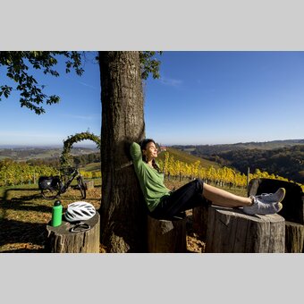 Cycling at the Styrian Wine Country Cycling Tour, Sernauberg | © Steiermark Tourismus | Tom Lamm