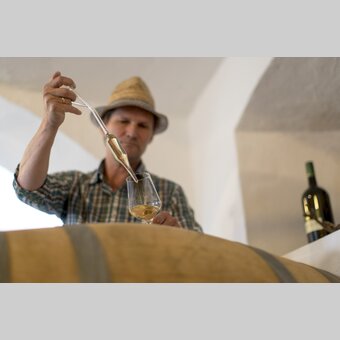Winegrower Hans Söll, Sernauberg | © Südsteiermark | Tom Lamm